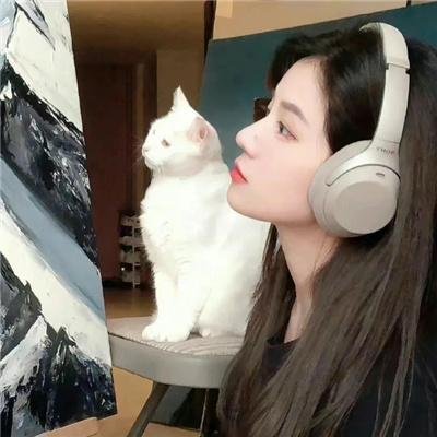 停电夜杀手
